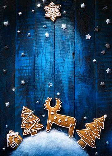 DoorFoto Door Cover Customizable - Blue Christmas