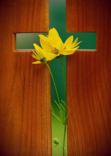 DoorFoto Door Cover Easter Cross