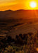 DoorFoto Door Cover Rolling Hills Sunset