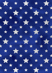 DoorFoto Door Cover American Stars