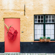 DoorFoto Door Cover Customizable - Single Red Rose