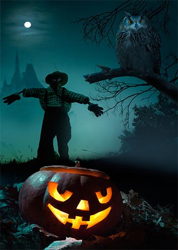 DoorFoto Door Cover Scarecrow Pumpkin