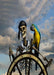 DoorFoto Door Cover Skeleton Pirate