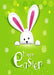 DoorFoto Door Cover Easter Bunny Door Decoration