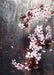 DoorFoto Door Cover Spring Blossom
