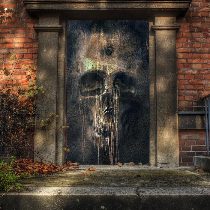 DoorFoto Door Cover Liquid Skull