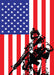 DoorFoto Door Cover American Warrior Flag