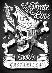 DoorFoto Door Cover Gasparilla Tampa 2021