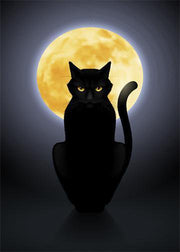 DoorFoto Door Cover Black Cat with Full Moon