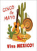 DoorFoto Door Cover Cinco De Mayo Cactus