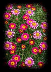 DoorFoto Door Cover Spring Hanging Decorations