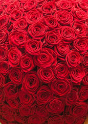 DoorFoto Door Cover Wall of Roses