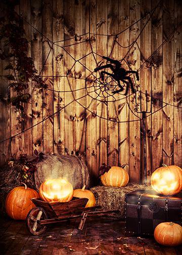 DoorFoto Door Cover Web with Pumpkins