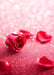 DoorFoto Door Cover Red Rose Petals