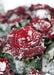 DoorFoto Door Cover Snowy Rose