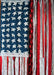 DoorFoto Door Cover Handcrafted American Flag