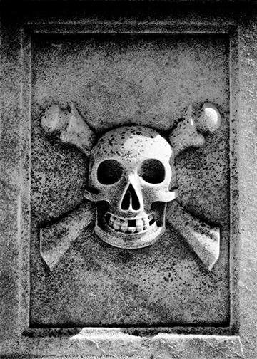 DoorFoto Door Cover Door Marked Pirate