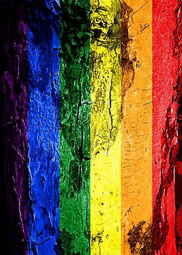 DoorFoto Door Cover Customizable - Grunge Gay Pride Flag