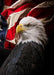 DoorFoto Door Cover American Flag with Bald Eagle