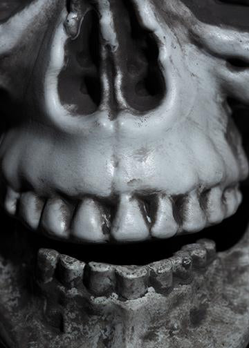 DoorFoto Door Cover Skeleton for Halloween