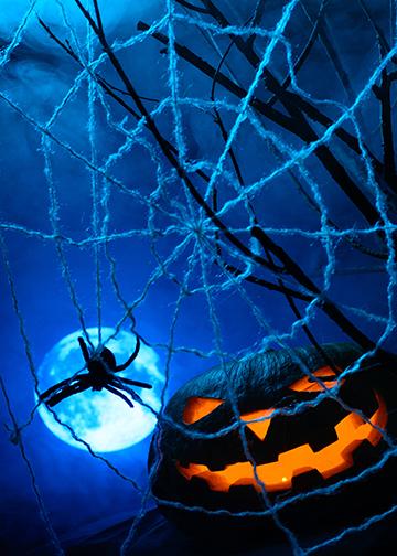DoorFoto Door Cover Spider Web with Pumpkin