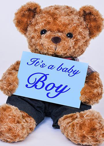 It s a Boy Teddy Bear Door Cover From 49.99 DoorFoto