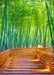 DoorFoto Door Cover Bamboo Forest