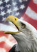 DoorFoto Door Cover Bald Eagle on American Flag