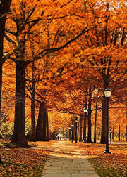 DoorFoto Door Cover Autumn Door Decor
