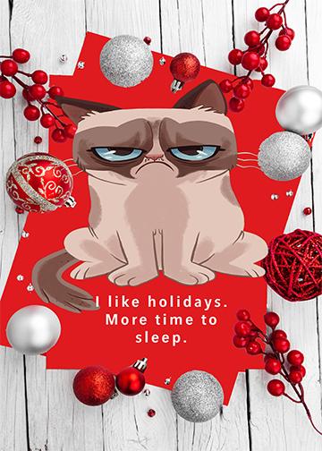 Grumpy Cat Door Cover Holiday Grumpy Cat