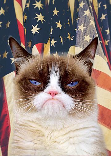 Grumpy Cat Door Cover Patriotic Grumpy Cat