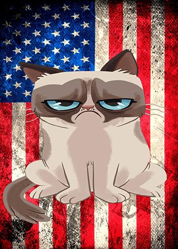 Grumpy Cat Door Cover American Grumpy Cat