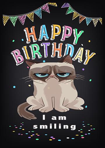 Grumpy Cat Door Cover Birthday Meme