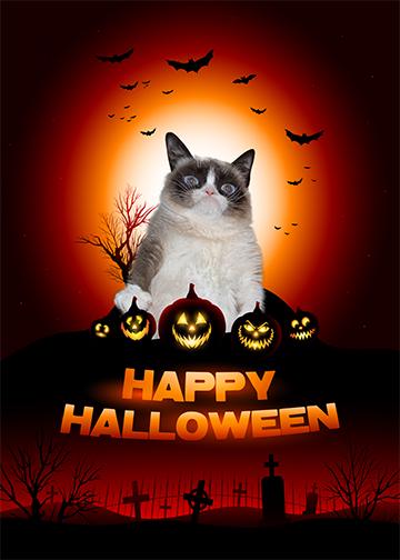 Grumpy Cat Door Cover Grumpy Happy Halloween