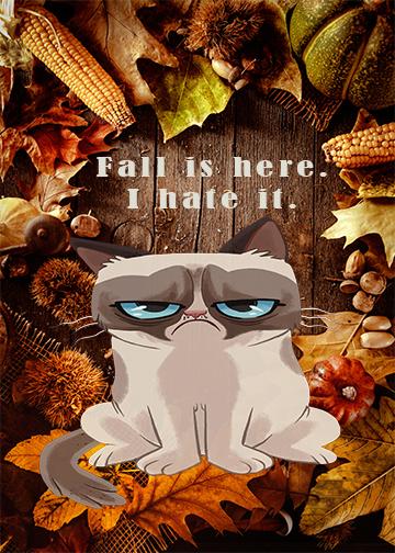 Grumpy Cat Door Cover Fall Hater