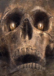 DoorFoto Door Cover Buried Skull
