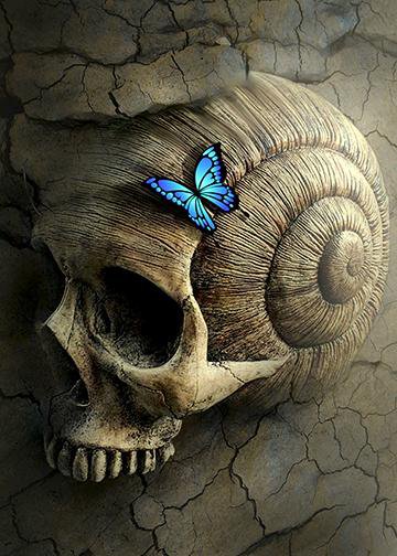 DoorFoto Door Cover Skull with Blue Butterfly