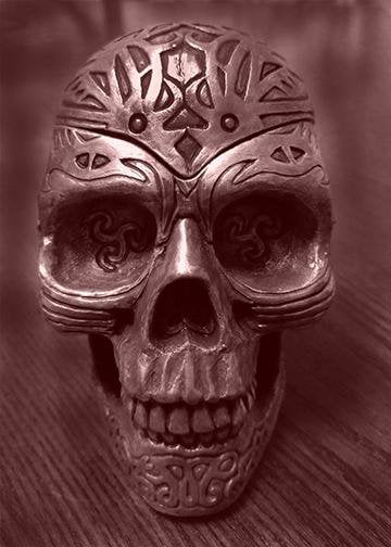 DoorFoto Door Cover Tattooed Skull