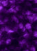 DoorFoto Door Cover Customizable - Purple Halloween Collage