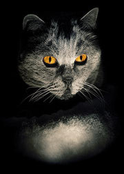 DoorFoto Door Cover Halloween Black Cat