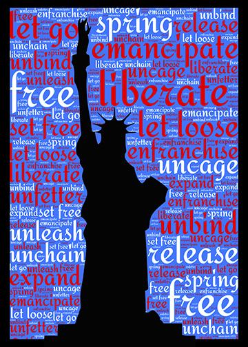 DoorFoto Door Cover Lady Liberty